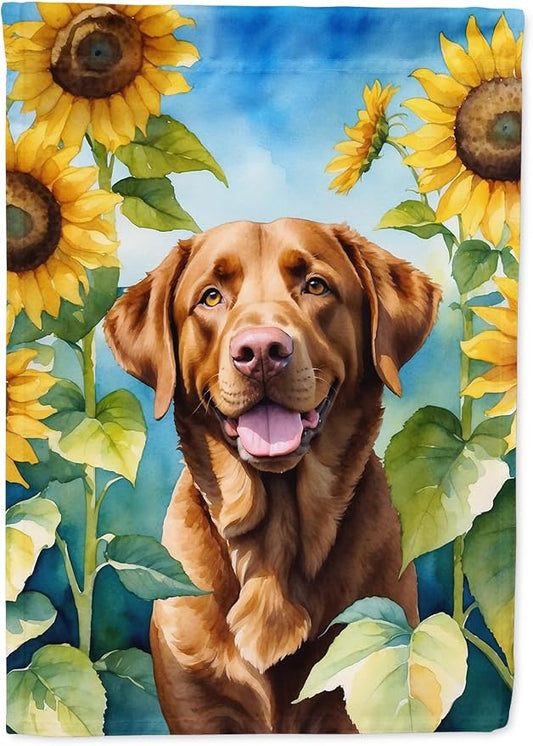 Caroline's Treasures DAC6050CHF Chesapeake Bay Retriever in Sunflowers House Flag Large Porch Sleeve Pole Decorative Outside Yard Banner Artwork Wall Hanging, Polyester, House Size, Multicolor