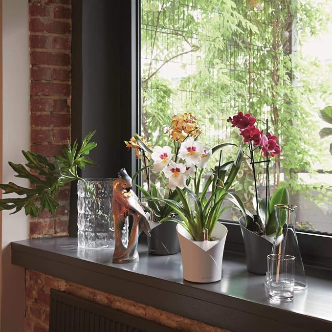 Lechuza 13961 ORCHIDEA Self-Watering Planter for Indoor and Outdoor Use, 7.2" x 7" x 7.7", Slate Matte
