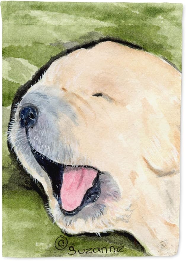 Caroline's Treasures SS8717GF Golden Retriever Garden Flag Mailbox Flag Decorative Yard Flag Banner Outside Patio Artwork Yard Flower Beds, Garden Size, Multicolor