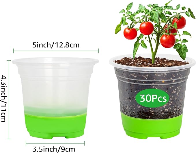 MIXC Thickened Clear Nursery Pots with Silicone Base for Easy Transplant 30 Packs 5 Inch, Transparent Plant Pot Reusable Seedling Pots for Vegetable Propagation, Root Cutting, Seed Starting, Green