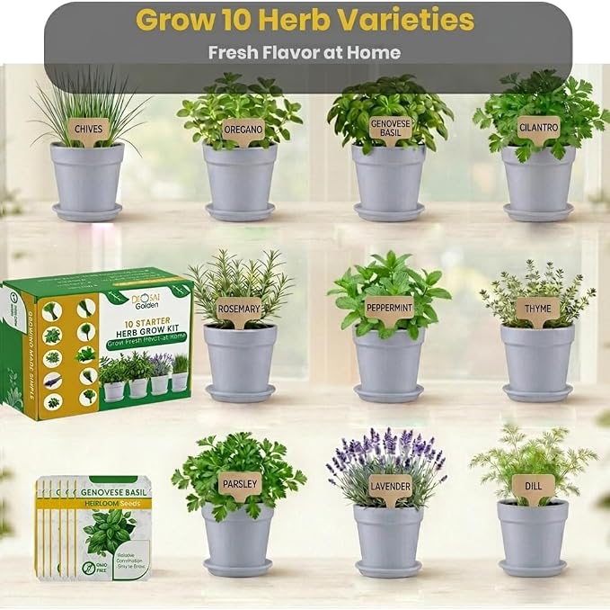 47 PCS Herb Garden Seeds Starter Kit, 10 Non-GMO Culinary Herb Seeds with White Pots & Planters for Windowsill, Herb Growing Kit Indoor & Outdoor, Unique Herb Garden Gift Set for Gardening Lovers