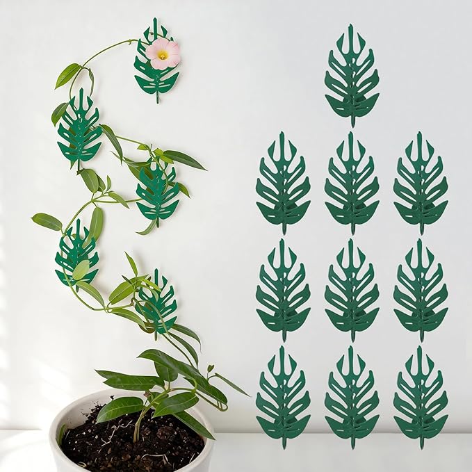 15 Pack Plant Vine Wall Clips - Durable Iron Support Hooks for Climbing Plants, Pothos, and Money Ivy – Adhesive Fixtures for Vertical Growth & Organizing Decor for Indoor and Outdoor Use