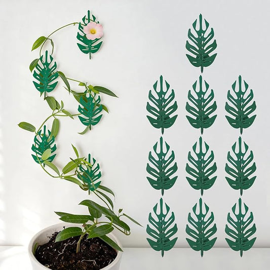 15 Pack Plant Vine Wall Clips - Durable Iron Support Hooks for Climbing Plants, Pothos, and Money Ivy – Adhesive Fixtures for Vertical Growth & Organizing Decor for Indoor and Outdoor Use