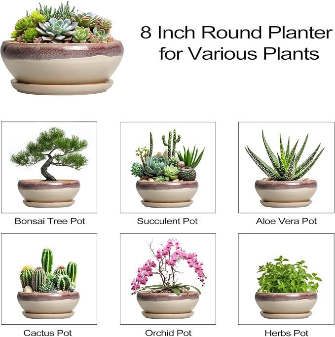 SQOWL Succulent Pots 8 Inch - Ceramic Bonsai Pots for Indoor Plants, Round Shallow Plant Pot with Drainage Hole and Saucer, Bowl Planter Outdoor, Patio Decor, Plant Lover Gifts, Beige