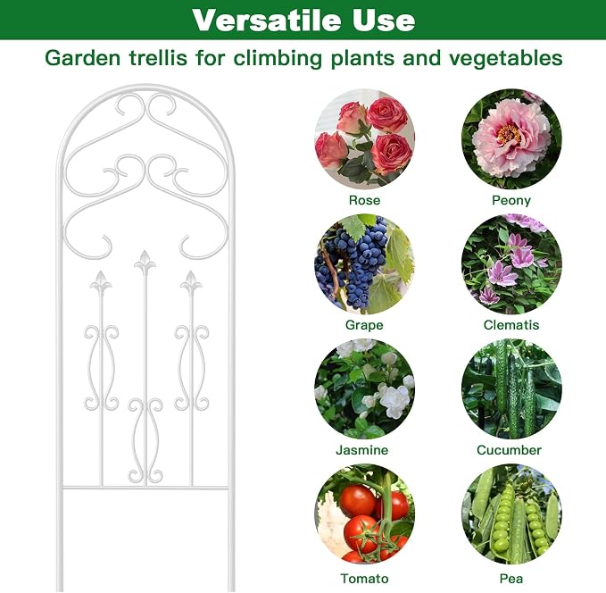AMAGABELI GARDEN & HOME 4 Pack 60” x 18” Garden Trellis for Climbing Plants Outdoor Trellis for Climbing Roses Plant Trellis Vegetables and Flower Vine White Trellis for Ivy Cucumbers