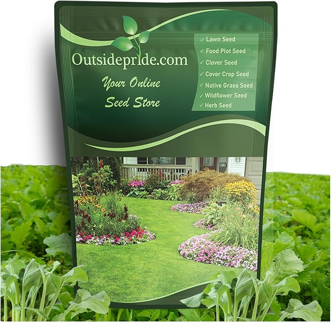 Outsidepride Purple Top Turnip Seeds -1 Lb High-Yield, High Protein Turnip Seed, Ideal Cover Crop, for Forage, Grazing Livestock, High Energy Deer Food Plot & Soil Improvement