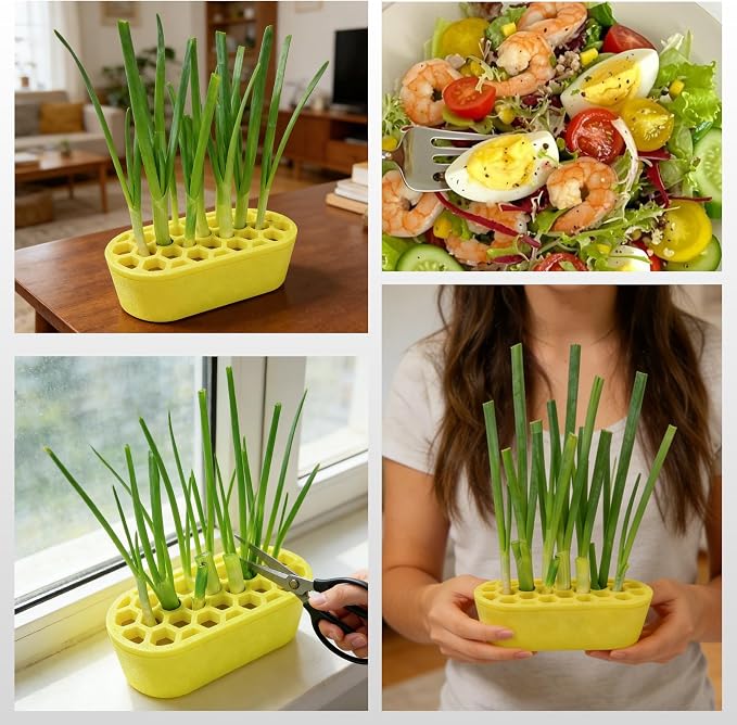 Green Onion Regrower Sprouting, Hydroponic Scallion Planter Box | 3D Printed Mini Green Onion Regrower Kit for Indoor Kitchen Windowsill Garden, Hydroponics Enthusiasts