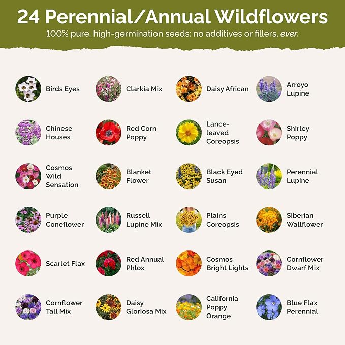 Eden Brothers Southwest Wildflower Mixed Seeds for Planting, 5 lb, 2,400,000+ Seeds with Cornflower, Blanket Flower | Attracts Pollinators, Plant in Spring or Fall, Zones 3, 4, 5, 6, 7, 8, 9, 10