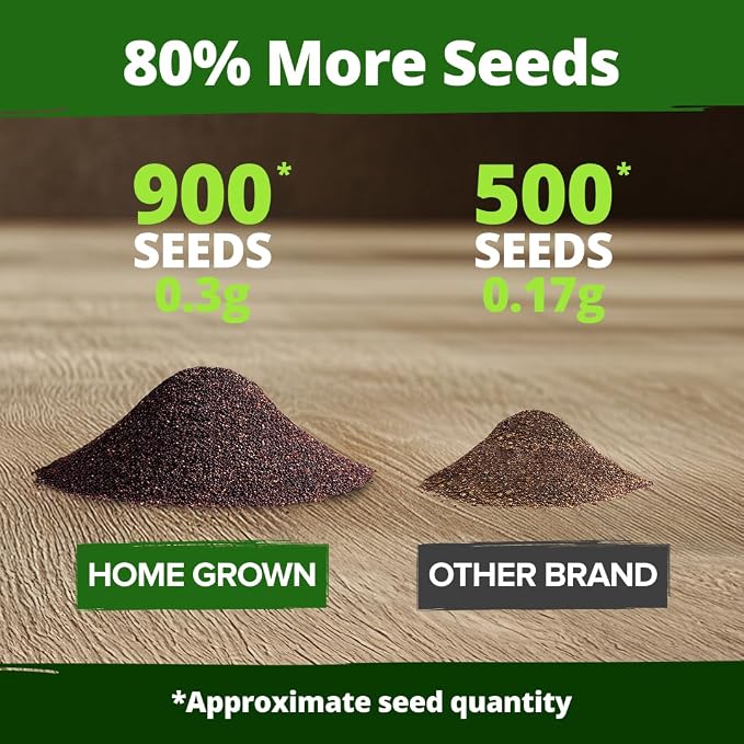 HOME GROWN Coleus Seeds for Planting – 900 Rainbow Coleus Plant Seeds, Multicolor Spring 2026 Flower Seed Annual/Perennial House Plants for Garden Outdoors & Indoors (Plectranthus scutellarioides)