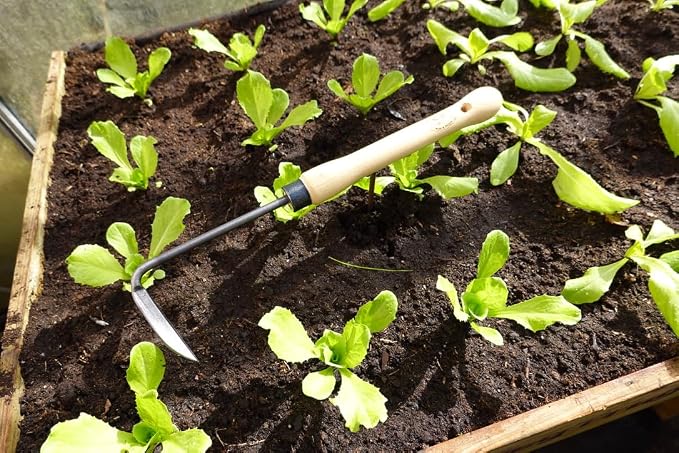 DeWit Weeder with Mid-Size Handle, Lightweight & Durable Garden Tool with Comfortable Grip