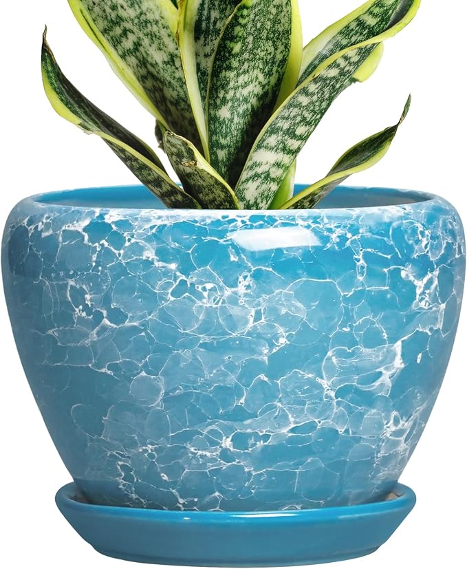 Ceramic Planters for Indoor Plants - 6 Inch Plant Pot with Drainage Hole and Saucer, Round Plant Pots, Modern Decorative Succulent Planter, Desk Decor, Gifts for Plant Lovers, Bubble Blue