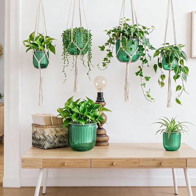 Hanging Planter Set of 6 Self Watering Indoor Flower Pots with Water Level Indicator Modern Plant Hangers for Indoor Garden Decor Balcony Apartment Boho Home Decoration Easy Care(Emerald)