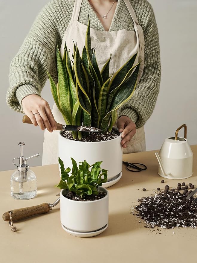 LE TAUCI Ceramic Plant Pots, Set of 2, 8+10 Inch Plant Pots Indoor with Drainage Hole & Saucer, Sturdy Planters for Indoor Plants, Modern Minimalist Decor for Snake Plant, Monstera, White