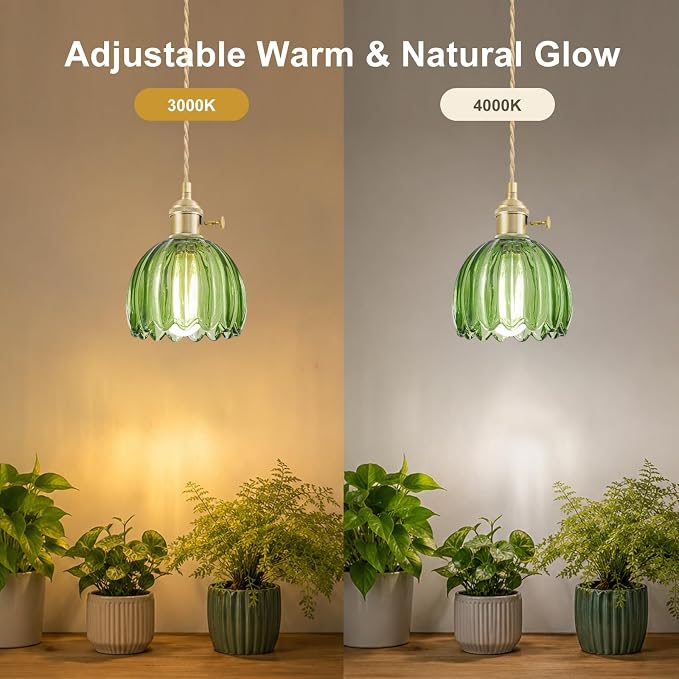 Hanging Grow Lights for Indoor Plants, 12W Full Spectrum 98+ CRI Grow Lamp, Dual CCT 3000K/4000K, Dual Switches, Pulley Height Adjustable, 13.12FT Cord, Petal Glass Plant Light for Indoor Flowers