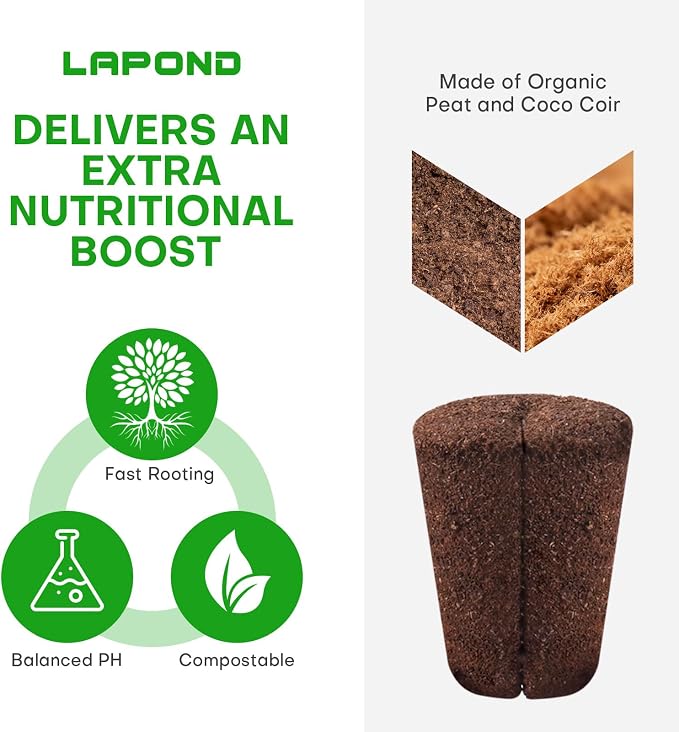 40 Pcs Grow Sponges with Tray, Plant Starter Plugs for Cuttings, Great for Soil, Tray or Planting Pods Plant Rooter, Promotes Herbs, Vegetables and Flowers Growth