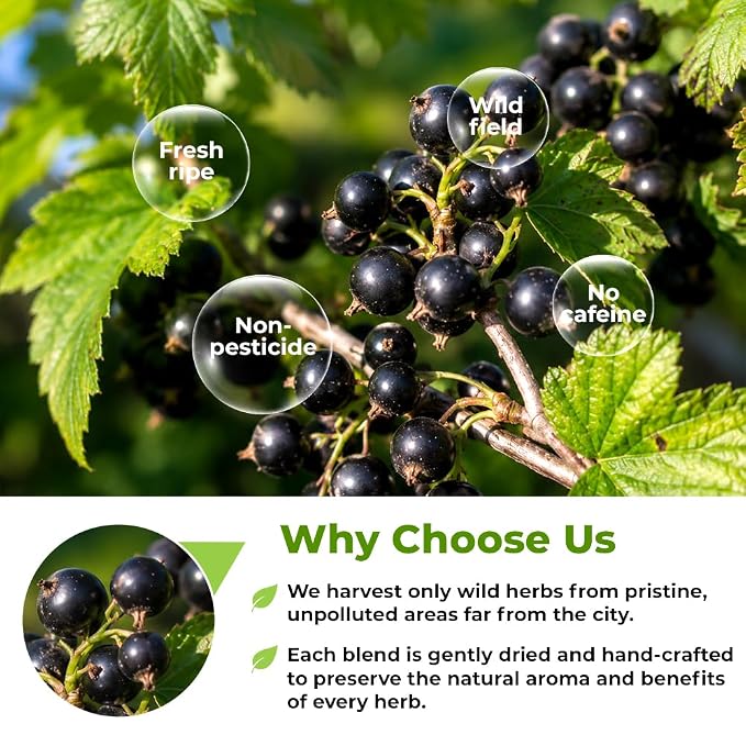 2 oz. Blackcurrant Fruit Herbal Tea (Ribes Nigrum) - 56g Dried Blackcurrant Berries Herb Té De Grosella Negra