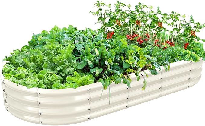 TBMLC Oval Galvanized Planter Box, Metal Raised Garden Bed - 0.8MM Thick- Ideal for Outdoor Gardening and Planting of Vegetables Flowers Fruits Succulent Plants and Others (White, 6X3X1 FT)
