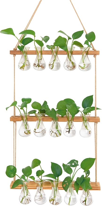 XXXFLOWER Wall Hanging Propagation Station with Wooden Stand 5 Bulb Vase 3 Tiers Planters Wall Terrarium for Home Office Plant Hanger Flower Vases Wall Decor