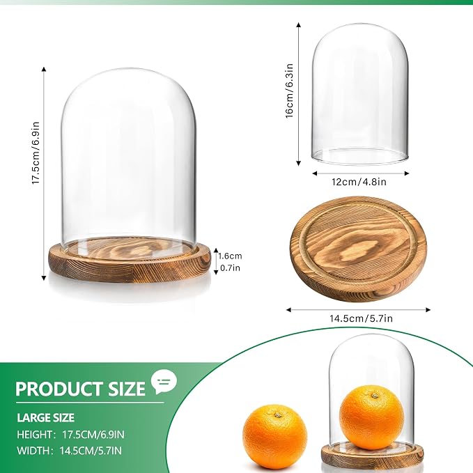 ZEERSHEE Glass Cloche Display Dome Decorative Glass Display Bell Jar with Wooden Base for Home Party Wedding Decor