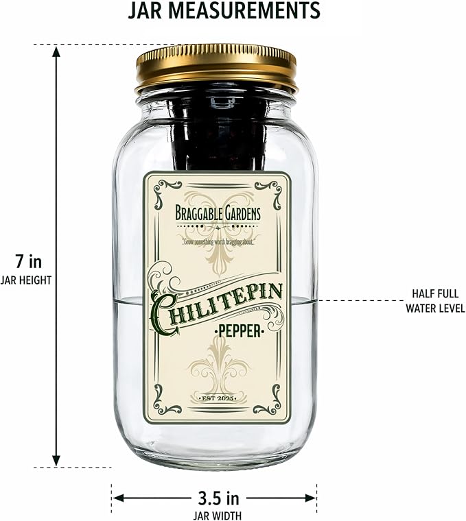 Rare Pepper Mason Jar Garden Kit (3 Pack) – Medusa, Filius Blue & Chiltepin Peppers – Indoor Hydroponic Pepper Grow Kit – Unique Ornamental & Edible Pepper Plants for Windowsill Gardening