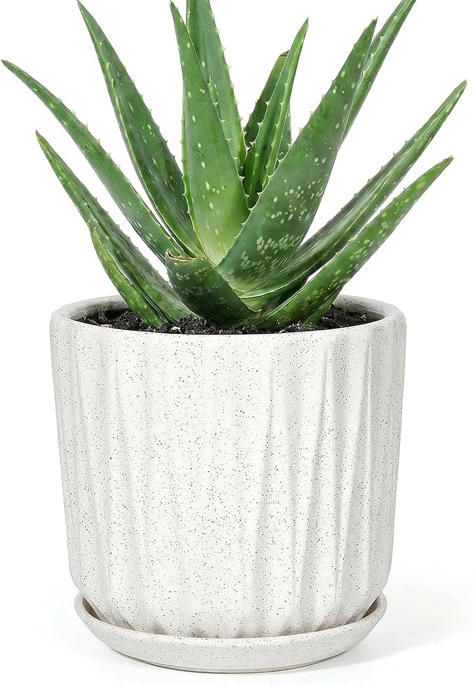 7.5 Inch Ceramic Planter Pot with Saucer Drainage Leak-Proof Mesh,Flower Pots for Indoor Plants with Gardening Gloves,Ceramic Planter(Waxen White)