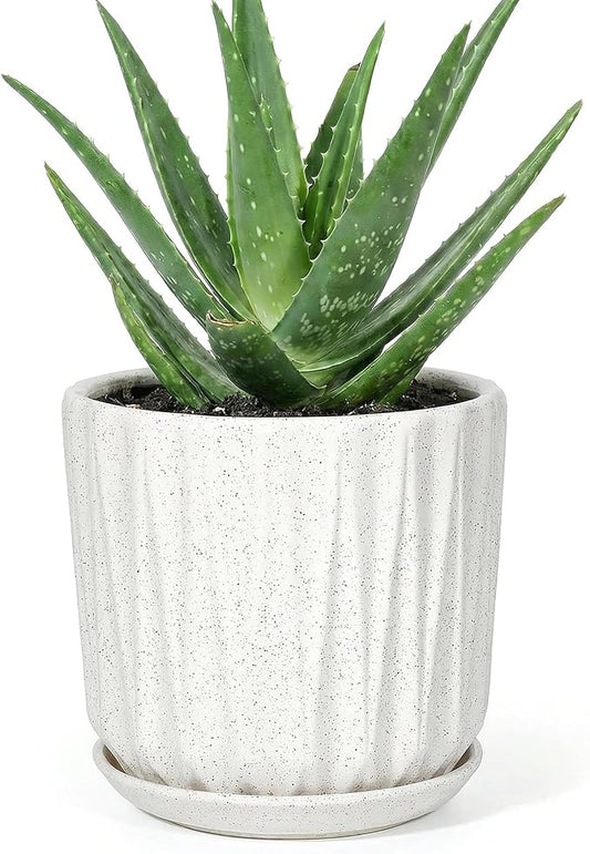 7.5 Inch Ceramic Planter Pot with Saucer Drainage Leak-Proof Mesh,Flower Pots for Indoor Plants with Gardening Gloves,Ceramic Planter(Waxen White)
