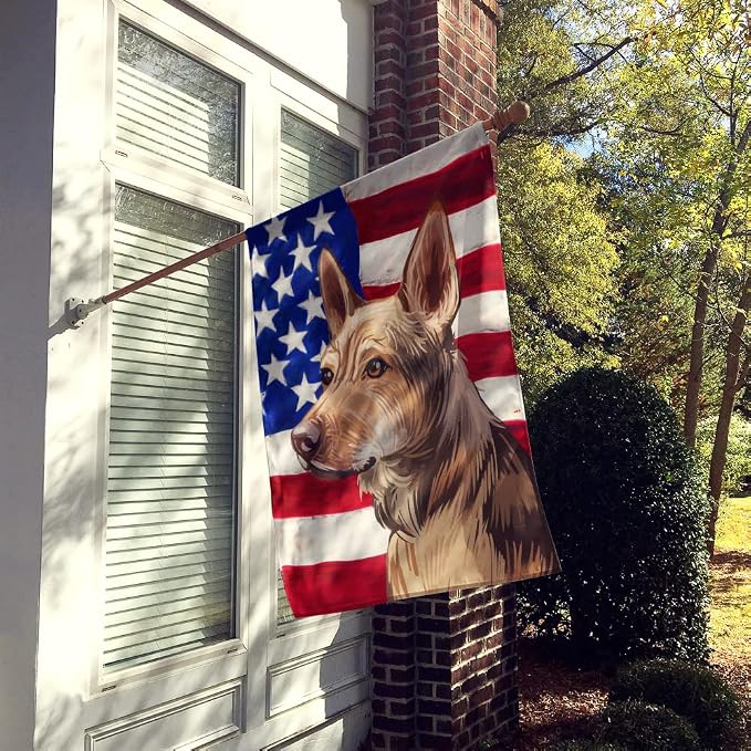 Caroline's Treasures CK6736CHF Telomian American Flag House Flag Large Porch Sleeve Pole Decorative Outside Yard Banner Artwork Wall Hanging, Polyester, House Size, Multicolor