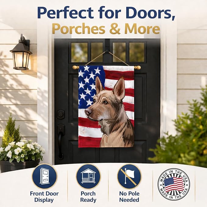 Caroline's Treasures CK6736CHF Telomian American Flag House Flag Large Porch Sleeve Pole Decorative Outside Yard Banner Artwork Wall Hanging, Polyester, House Size, Multicolor