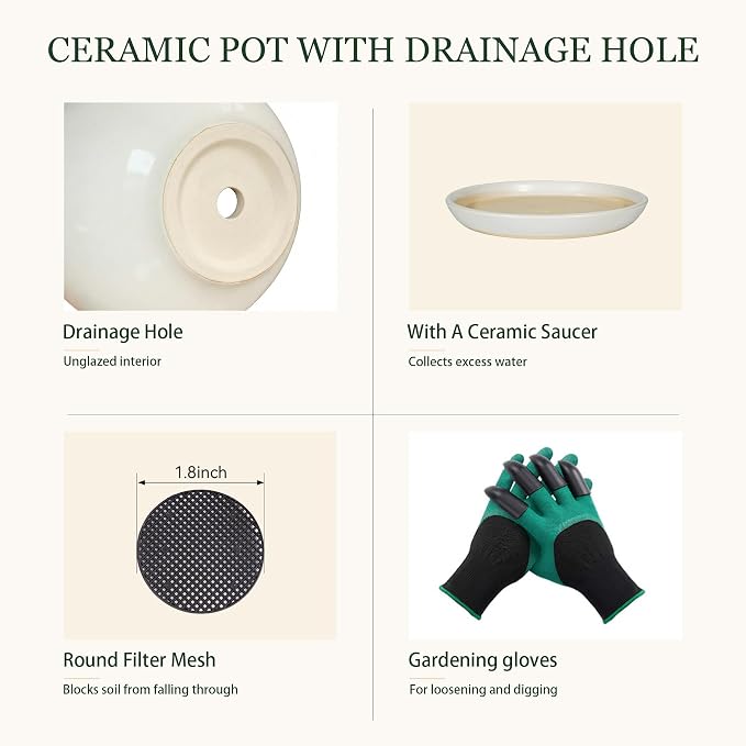8.3 Inch Modern Ceramic Plant Pot with Drainage Hole and Mesh Net, Indoor Outdoor Planter with Saucer & Gardening Glove, Pots for Succulents, Flowers, Large Plants, White