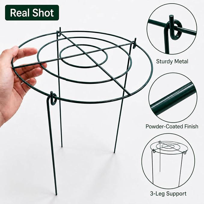 Peony Cages and Supports, 8 Pack 12 in x 15.7 in Metal Grow-Through Plant Support Rings, 3-Leg Garden Stakes for Peonies, Roses, Hydrangeas, Dahlias & Tomato Plants