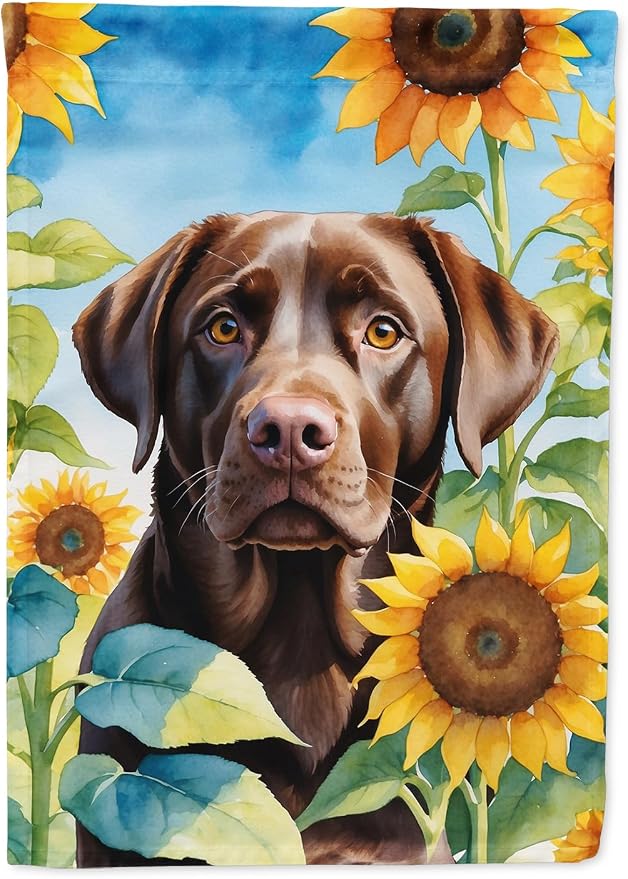 Caroline's Treasures DAC6110CHF Labrador Retriever in Sunflowers House Flag Large Porch Sleeve Pole Decorative Outside Yard Banner Artwork Wall Hanging, Polyester, House Size, Multicolor