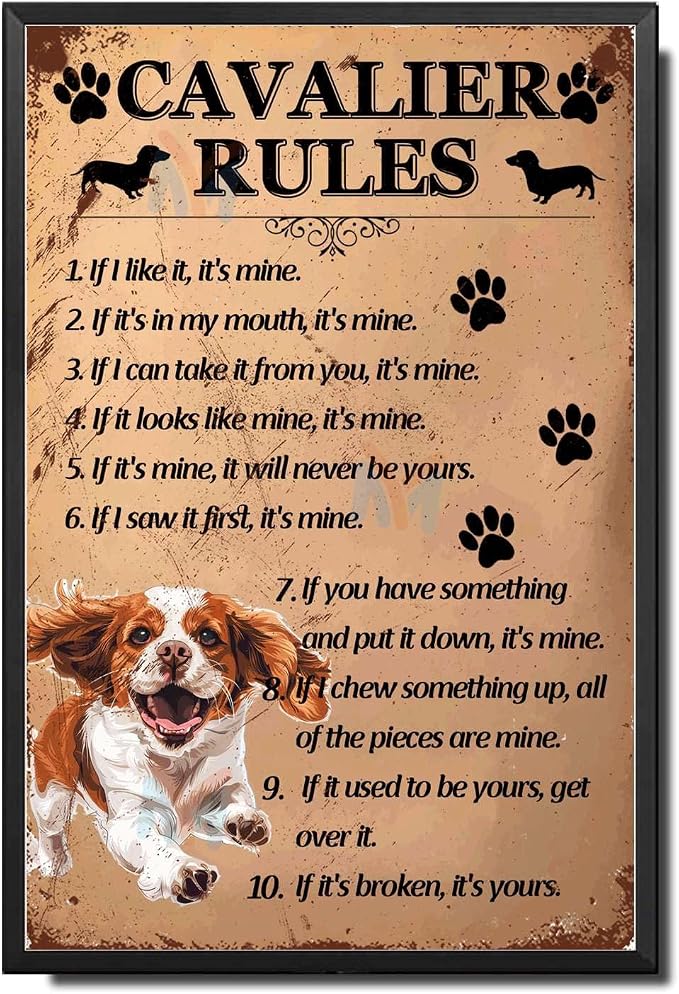 Metal Sign Tin Sign Vintage Wall Art Cavalier Rules Boho Bedroom Decorations for Pub 6×8 Inches with Metal Frame