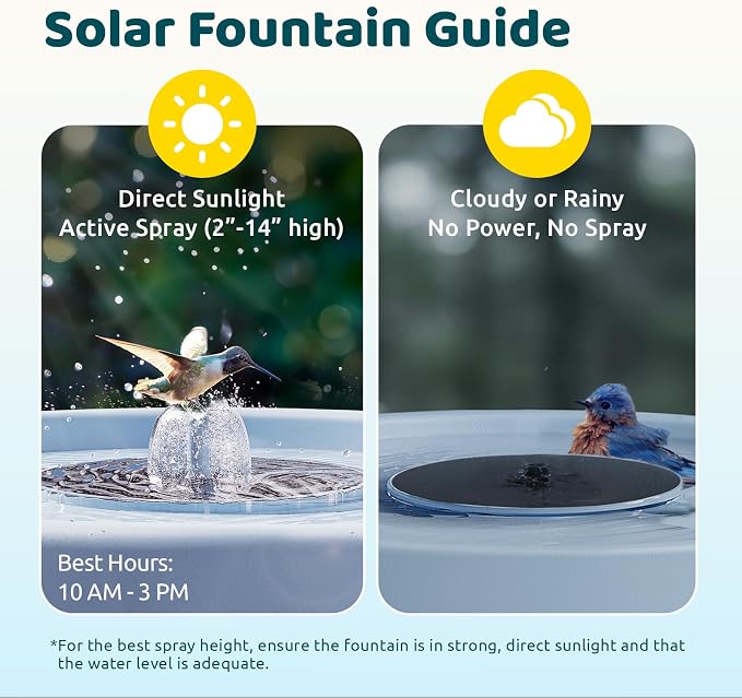 Birdfy Smart Bird Bath with Camera Solar Powered & Fountain, Dual-Lens Camera for Wildbird Watching, Auto Capture Bird Videos & Motion Detection - AI by Subscription (Blue)