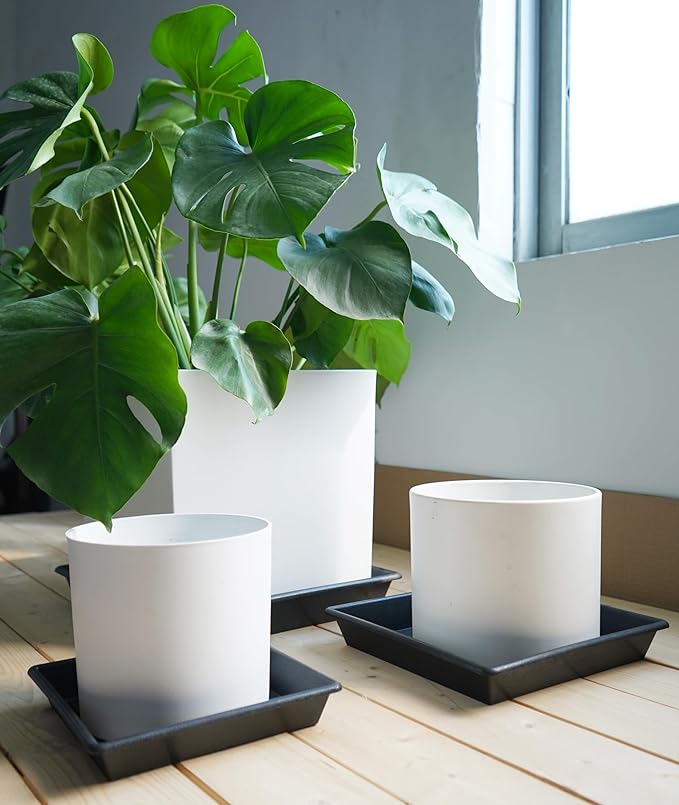 NIMYAU Square Plant Saucer 6 Inch 5 Pack6 8 12 14 16 18 20 Heavy Duty Plastic Plant Saucers for Indoors Outdoors, Plant Trays for Pots, Flower Pot No Holes Plant Drip Trays