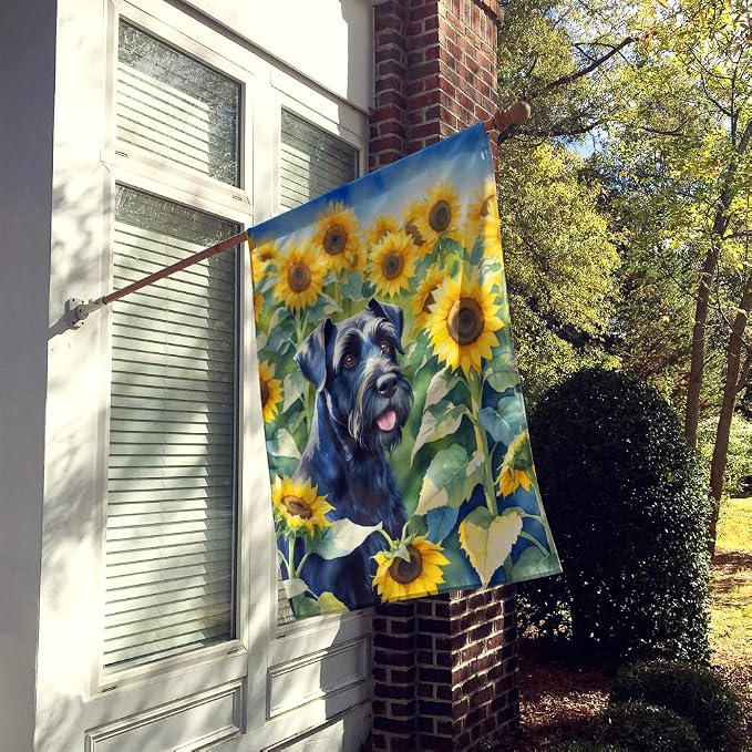 Caroline's Treasures DAC6087CHF Giant Schnauzer in Sunflowers House Flag Large Porch Sleeve Pole Decorative Outside Yard Banner Artwork Wall Hanging, Polyester, House Size, Multicolor