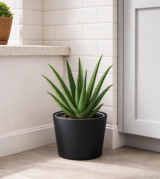 Phoenix Vine 6.6 Inch Black Plastic Cachepot with Clear Nursery Pot, Decorative Lightweight Planter Cover with Transparent Inner Pot for Indoor Houseplants, Pack of 1, 24-C-E-1