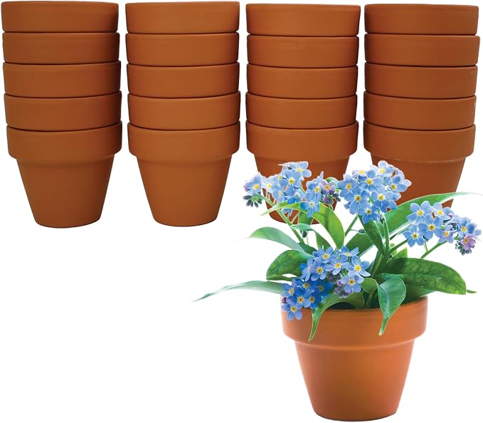 BUZZY Seeds Forget-Me-Not Grow Kit, Bulk 20-Pack - Mini Terracotta Pot Grow Set - Complete Indoor/Outdoor Gardening Kit with Seeds, Coconut Husk Growing Medium & Genuine Pots - 100% Grow Guarantee