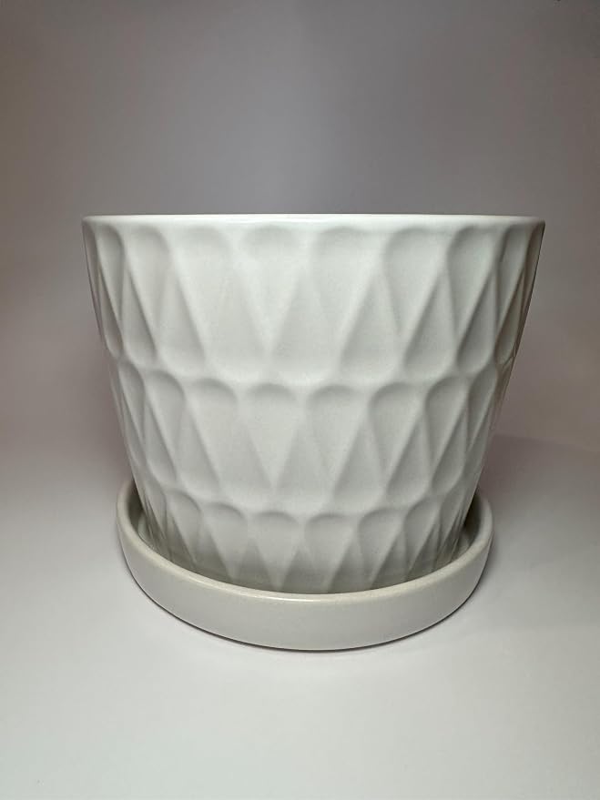 Garden & Home Matte White 8 inch Indoor Ceramic Planter with an Attached Saucer and Drainage Hole. Perfect Plant Pot for All House Plants, Herbs, and Flowers