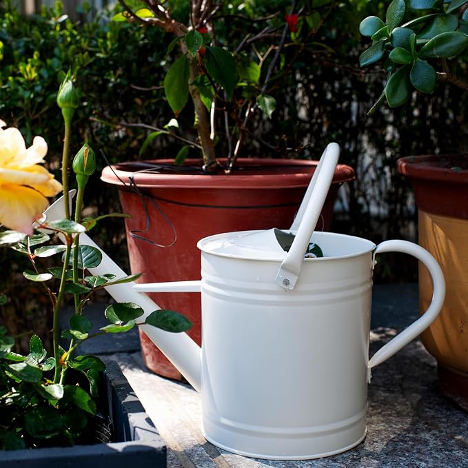1 Gallon Matte Cream Metal Watering Can, Removable Spout | Cream White Galvanized Plant Water Can for Indoor and Outdoor Use