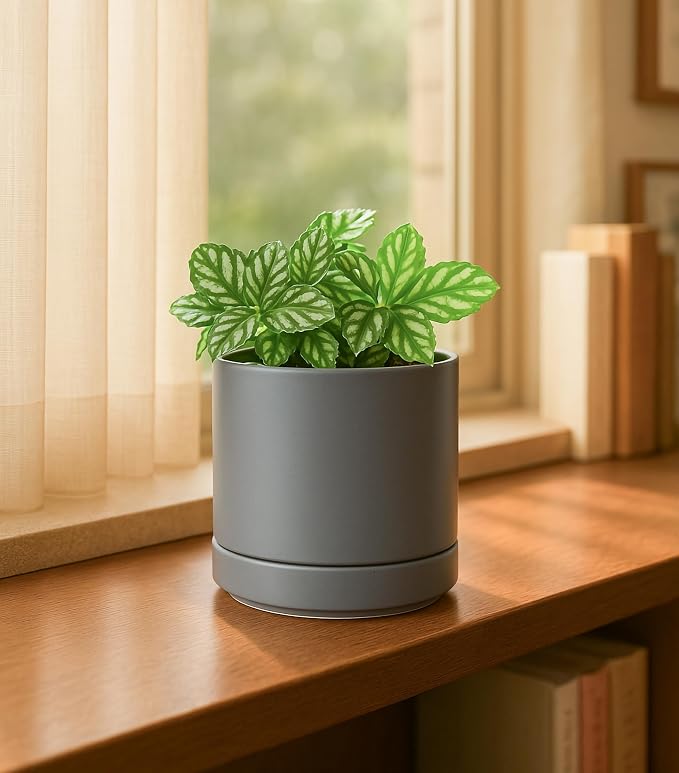 D'vine Dev 4.7 Inch & 6.5 Inch Ceramic Planter Pots for Plants with Drainage Hole and Saucer, Small Plant Pots Set, Speckled Grey, 94-G-S-3