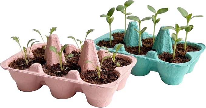 Buzzy Seeds Flower Starter Kit 2-Pack - Egg Carton Eco-Friendly Pots - Complete Indoor Gardening Kit with Seeds, Coconut Husk Growing Medium & Plantable Pots - 100% Grow Guarantee
