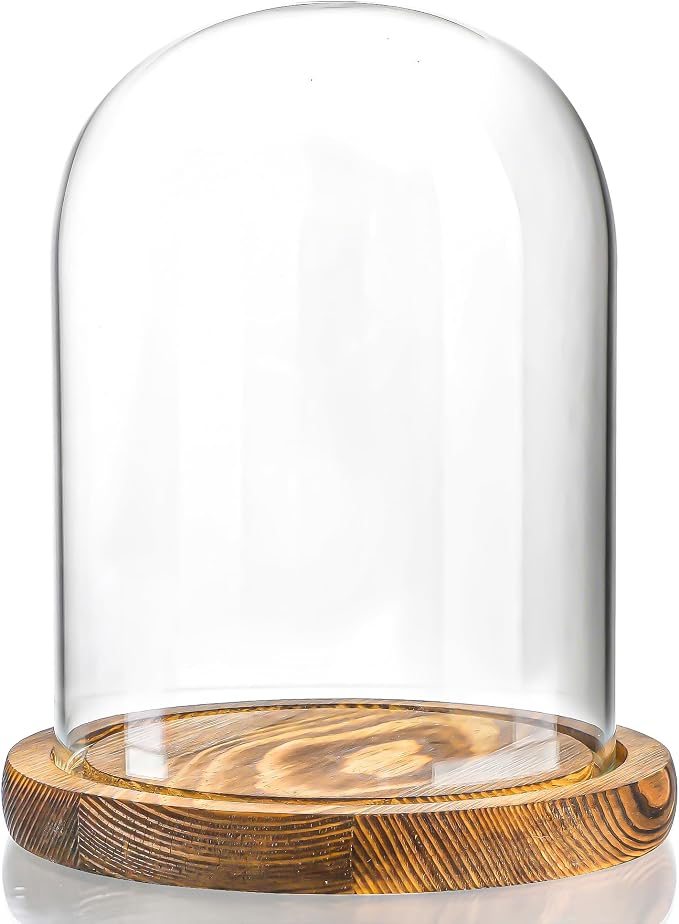 ZEERSHEE Glass Cloche Display Dome Decorative Glass Display Bell Jar with Wooden Base for Home Party Wedding Decor