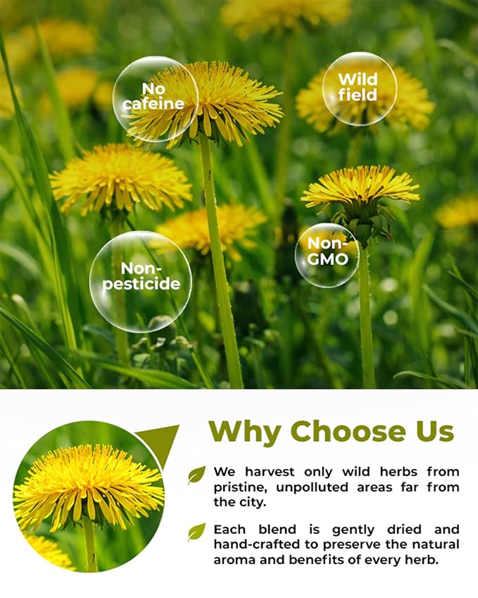 4 oz. Dandelion Leaf Root Tea Dandelion Tea Herbal (Taraxacum) - 113g Herbhojas Y Raнz De Diente De Leуn