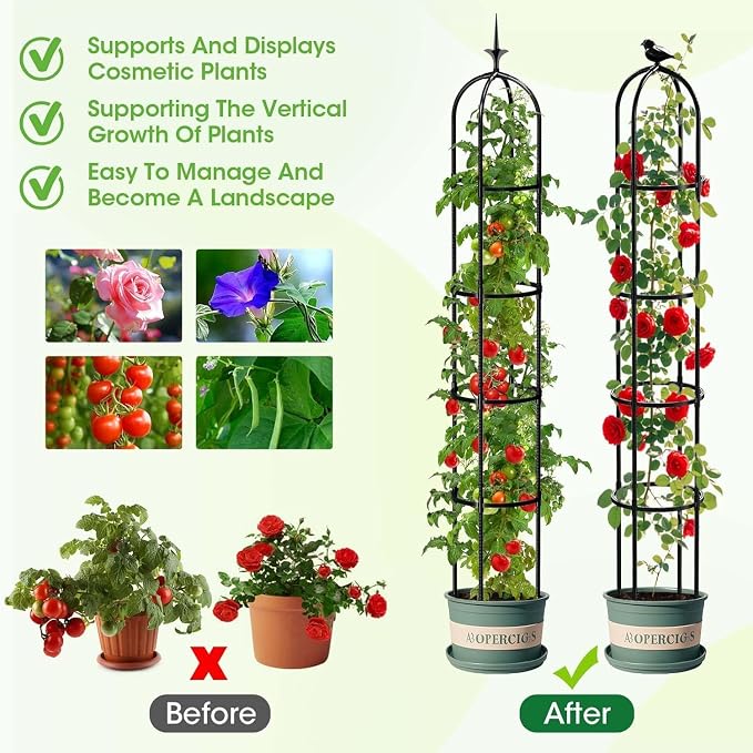 2 Pack Garden Obelisk Trellis for Climbing Plants Outdoor, 6.2 FT Tomato Cage, Rose, Flowers, Grape, Pea, Cucumber Trellis, Rustproof Plastic Coated Metal Plant Support Trellis for Potted Plants