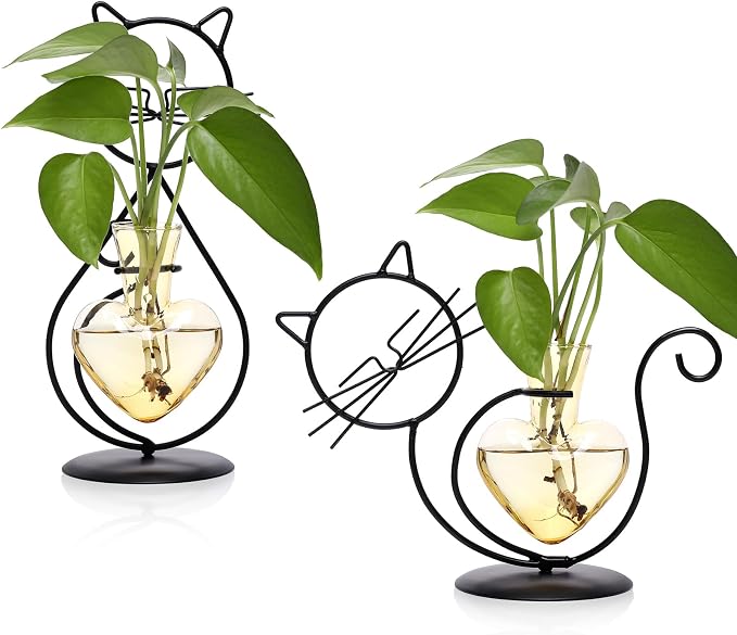 Plant Terrarium Plant Propagation Station Cat Lover Gifts for Women | Plant Lovers Home Office Decor Cat Desk Accessories