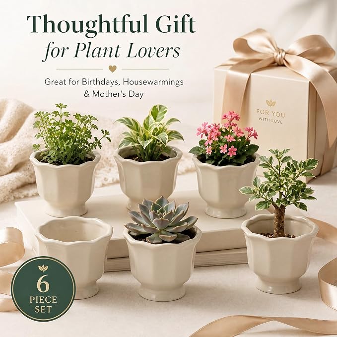 6 Pcs Lotus Leaf Edge Flower Planter Beige 3.4 Inch Small Scalloped Ceramic Pots for Mini Plant Succulent Cactus Flower Tillandsia Air Fern Home Office Desktop Decor