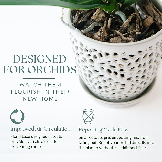 Elegant Orchid Pot with Holes, Large 6.5 inch Premium Porcelain Ceramic Orchid Pot for Repotting, Durable Ceramic Planter with Removable Saucer for Easy Drain, Planter Gifts for Moms