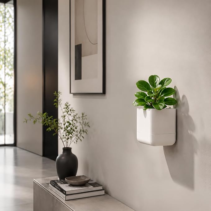 Phoenix Vine 4.5 Inch Wall Mounted Self-Watering Planter Pot for Indoor Houseplants and Herbs | Hanging Planter for Window Sills, Bathroom Walls, Home & Office Décor, Oatmeal, Set of 4, 01-B-G-4