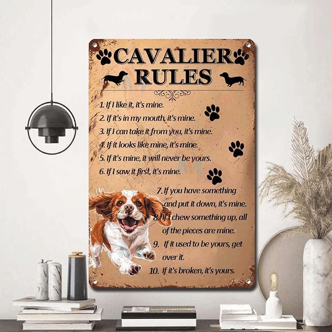 Metal Sign Tin Sign Vintage Wall Art Cavalier Rules Home Deccor Store Home Decor for Home Decor 8×12 Inches