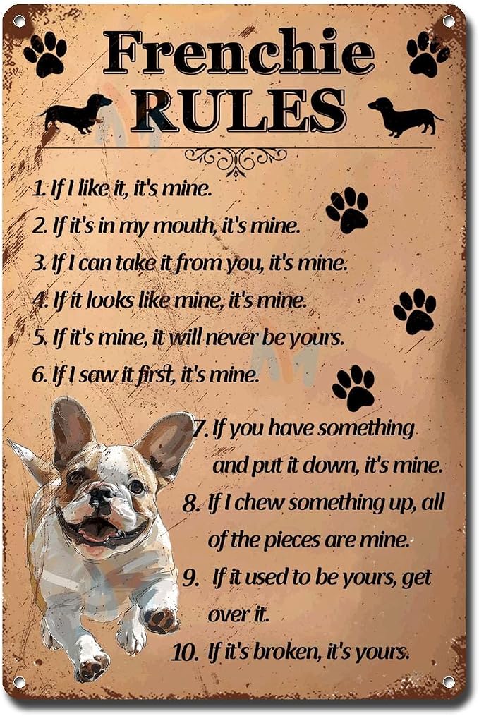 Metal Sign Tin Sign Vintage Wall Art Frenchie Rules Minimalist Wall Art for Room 12×16 Inches